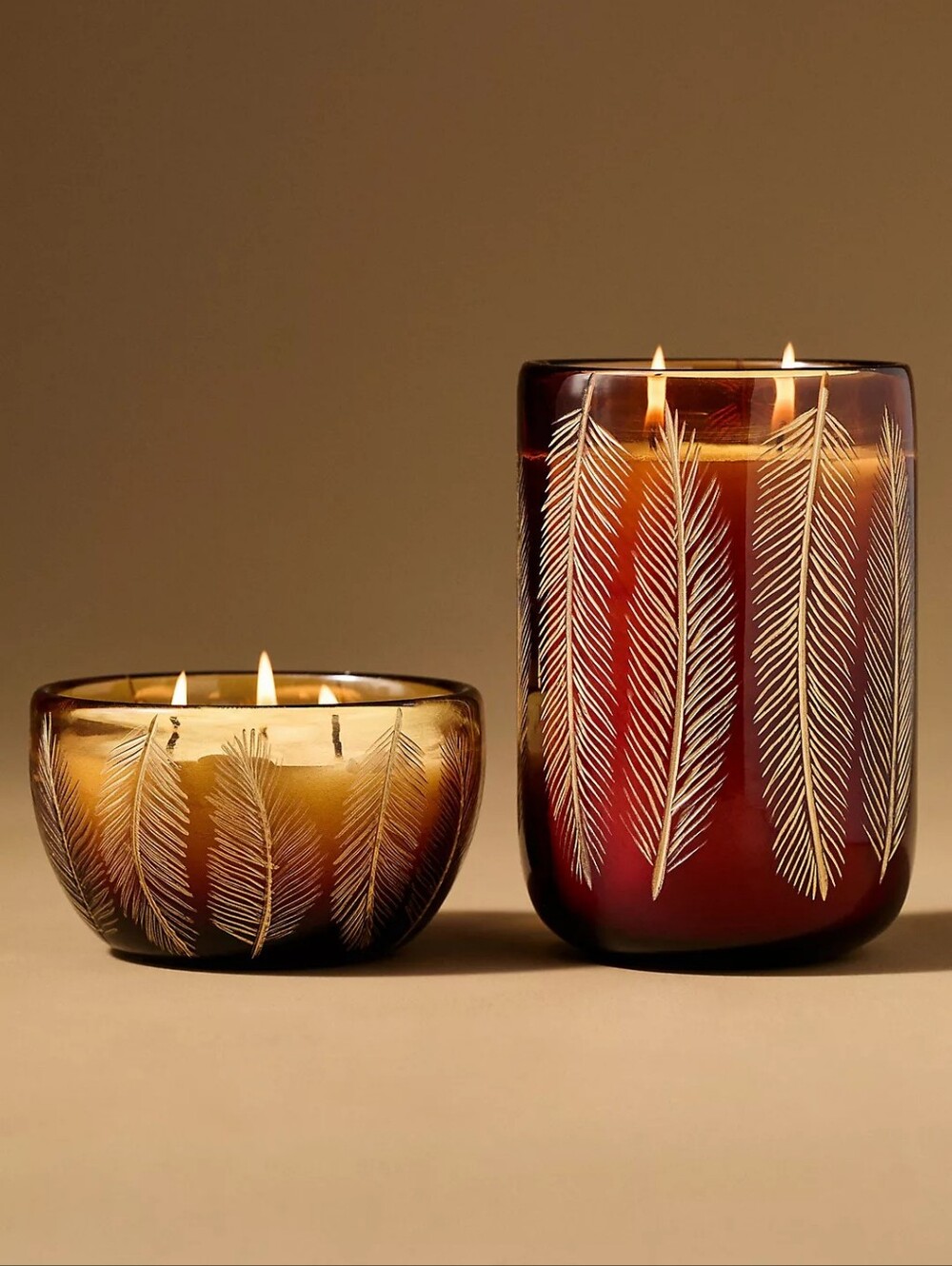 Anthropologie Feathered Woody Leather & Leaves Glass Candle